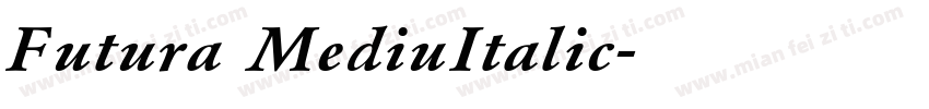 Futura MediuItalic字体转换